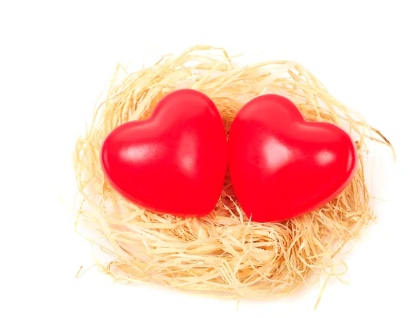 Hearts in nest — Stock Photo, Image