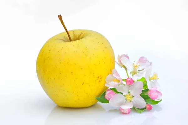 Elma ve çiçek çiçek — Stok fotoğraf
