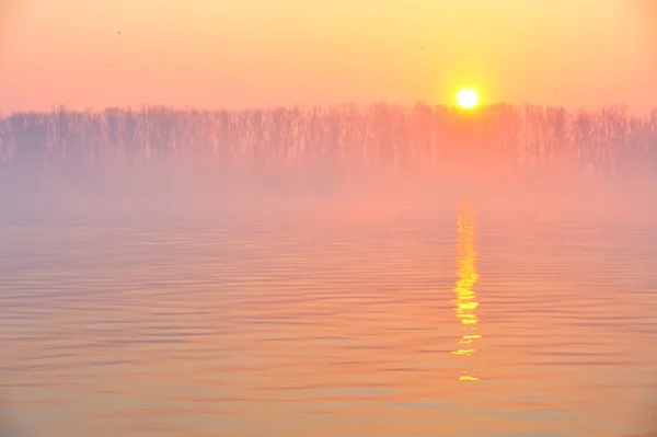Схід сонця на річці Дунай — стокове фото
