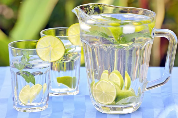 Limonata fresca e menta — Foto Stock