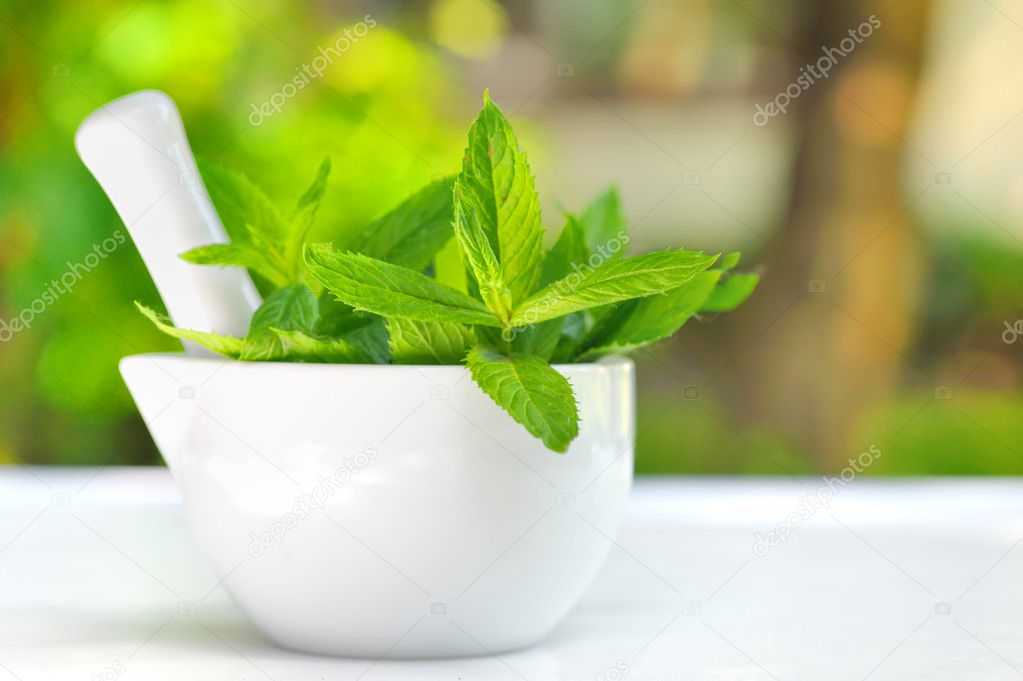 Mortar and mint leaves