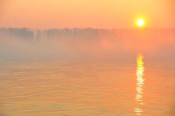 Ανατολή του ηλίου στο Δούναβη — Φωτογραφία Αρχείου