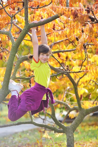 Дівчина залізла на дерево — стокове фото