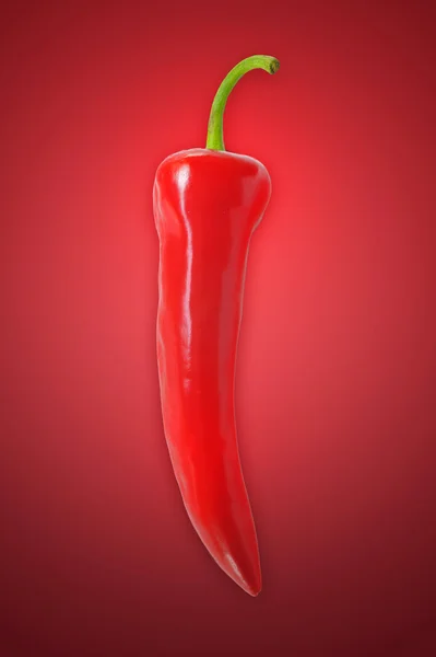 stock image Red pepper