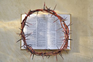 Crown of thorns and bible clipart