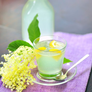 elderflower suyu