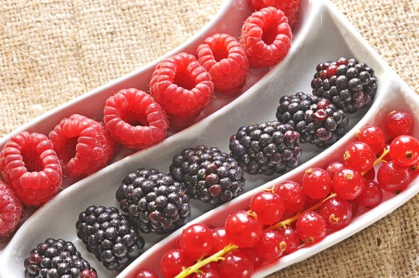 Fresh wild berries — Stock Photo, Image