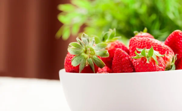 녹색 식물 배경으로 딸기 — 스톡 사진