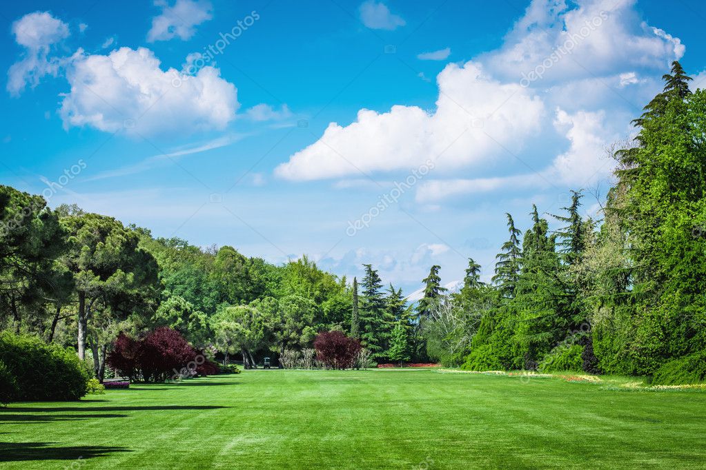 Campo de golf fotografía de stock © genious2000de 10543158