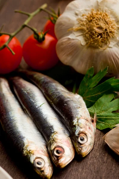Sardines - Ingredients — Stock Photo, Image
