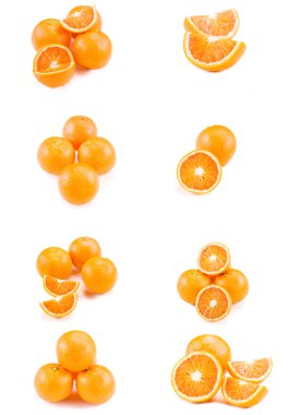 Collage with oranges clipart