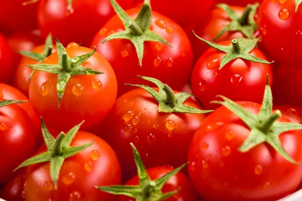 Fundo de tomate — Fotografia de Stock