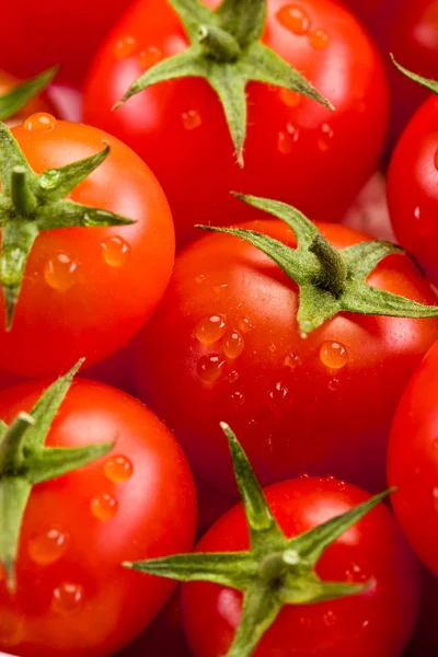 Tomat bakgrund — Stockfoto