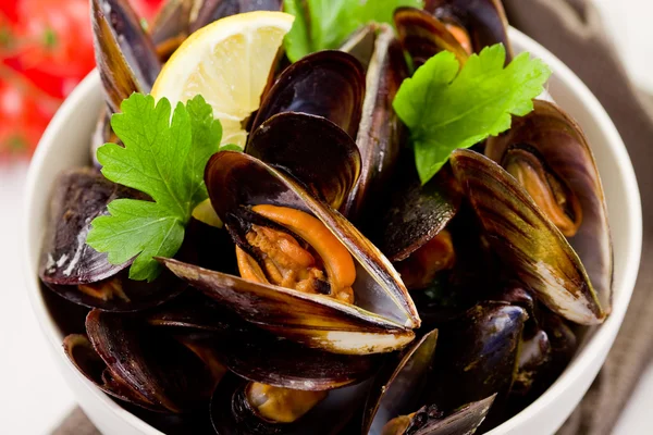 stock image Mussels with white wine