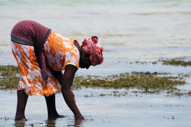 zanzibar kadında