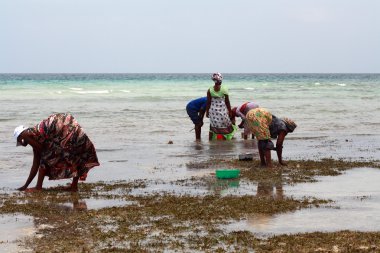 zanzibar kadınlarda