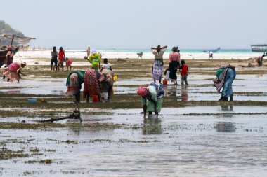 Women and children in Zanzibar clipart