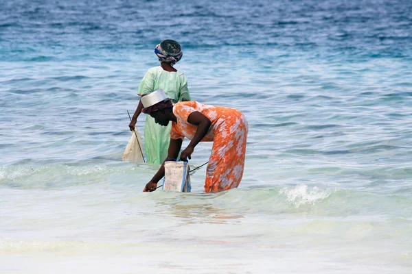 Femmes à Zanzibar — Photo