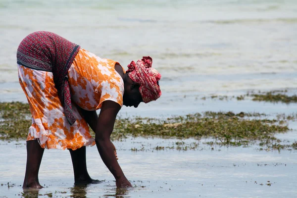 Женщина в Занзибаре — стоковое фото