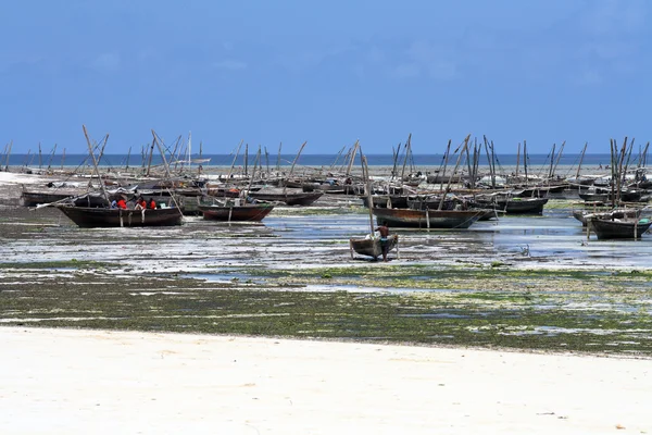 Fischerdorf auf Sansibar — Stockfoto