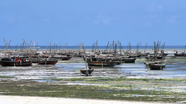 Pueblo pesquero en Zanzíbar — Foto de Stock