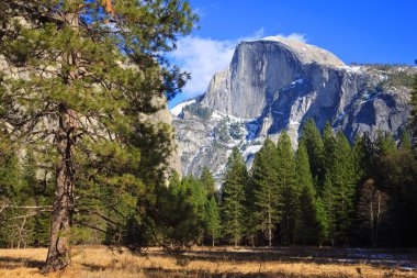 Half Dome Scene clipart