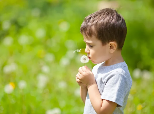 Boy blowing dandelion — Stock Photo, Image