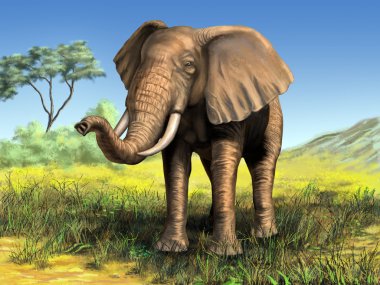 African elephant clipart