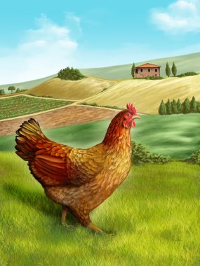 Hen and farm clipart