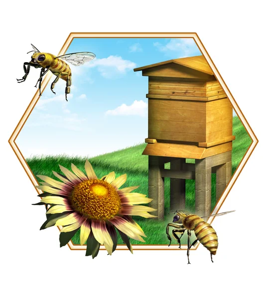 Улей пчёл — стоковое фото