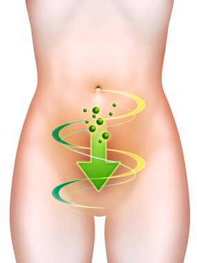 Bowel health clipart