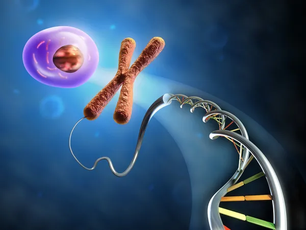 From Dna to cell — Stock Photo, Image