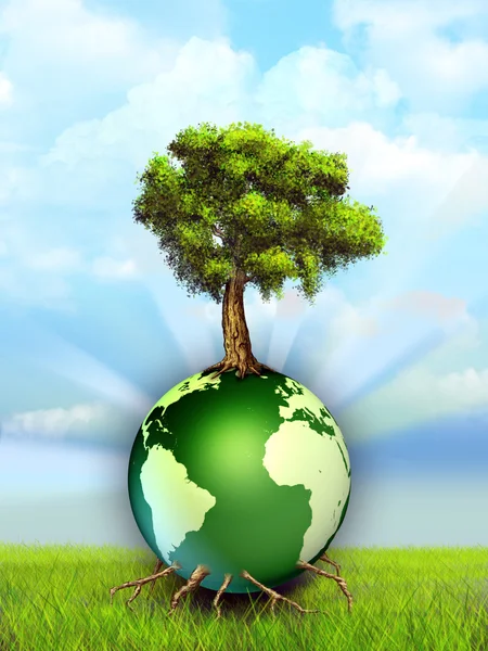 Tree and Earth — Stock Photo, Image