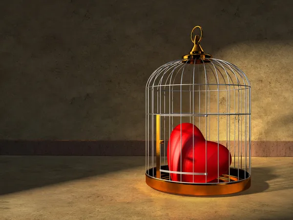 Heart in a cage — Stock Photo, Image