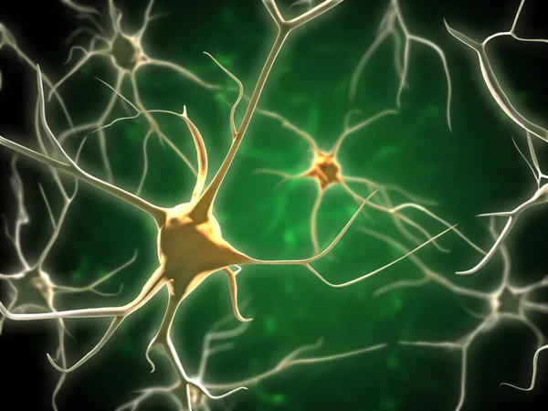 神经细胞 — 图库照片