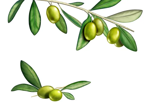 Olives — Stock Photo, Image