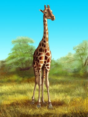 Giraffe clipart