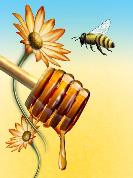 蜂蜜ディッパー — ストック写真