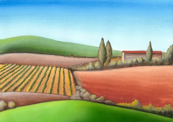Italiaanse landbouwgrond — Stockfoto