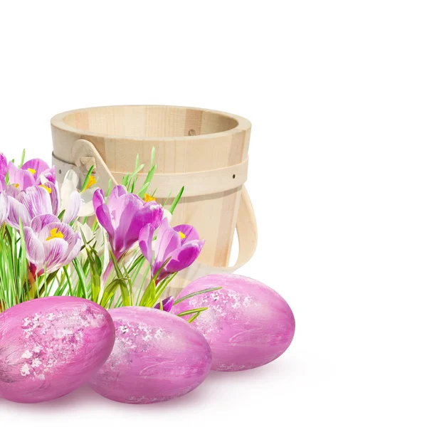 Húsvéti dekoráció rózsaszín krókuszok — Stock Fotó