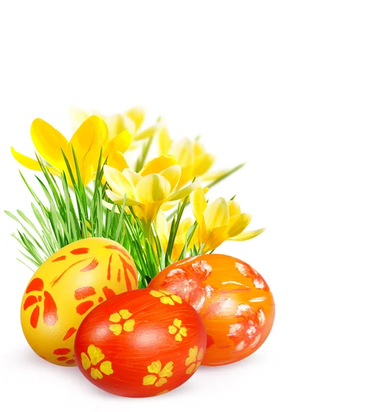 Ovos de Páscoa e crocos amarelos — Fotografia de Stock