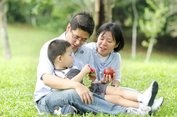 Família asiática fazendo um piquenique ao ar livre, foco no bebê — Fotografia de Stock