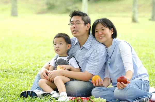 Asiática familia tener un picnic durante al aire libre, centrarse en el bebé — Foto de Stock