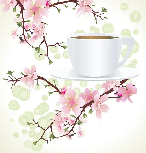 Tea cup and blossoming sakura tree )cherry tree) branches ìóñåùê — Stok fotoğraf