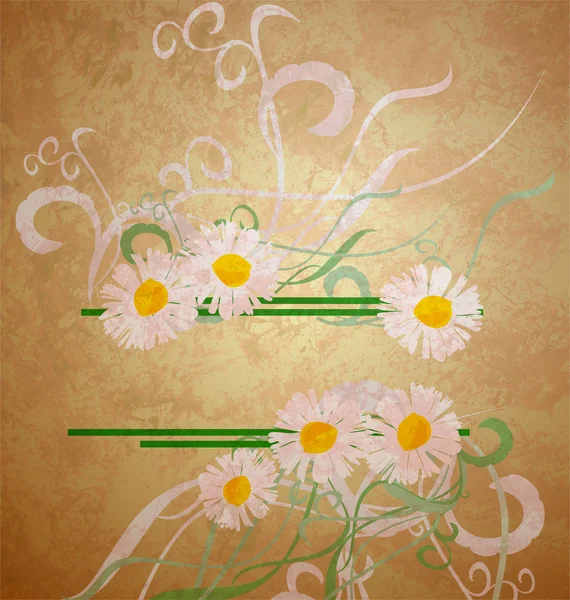 Grunge daisies border grunge background composition grunge idea — Stock Photo, Image