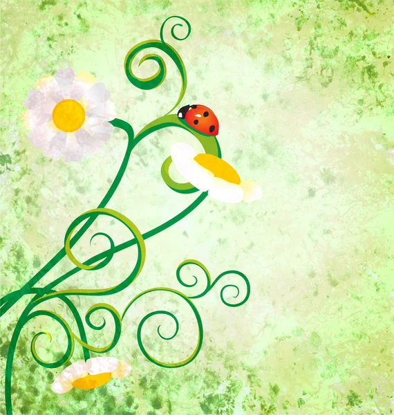 Rode lieveheersbeestje op daisy bloemen grunge achtergrond — Stockfoto