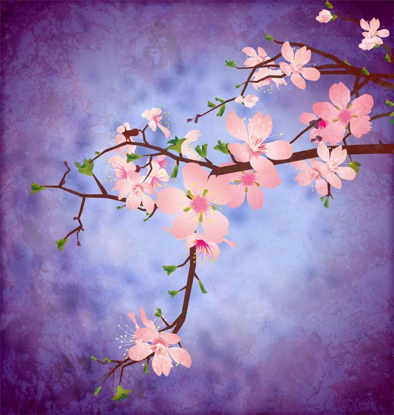 Цвіт вишневого дерева бранч на гранжевому синьому квадраті старовинний фон — стокове фото