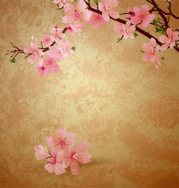Spring blossom cherry tree and pink flowers on brown old paper g — Stock Photo, Image