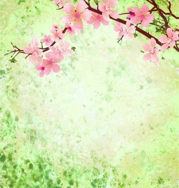 Pink cherry blossom branch on green grunge background easter ill clipart