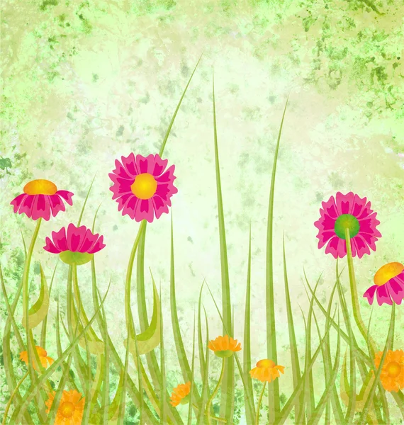 Red flowers meadow grunge green background — Stock Photo, Image